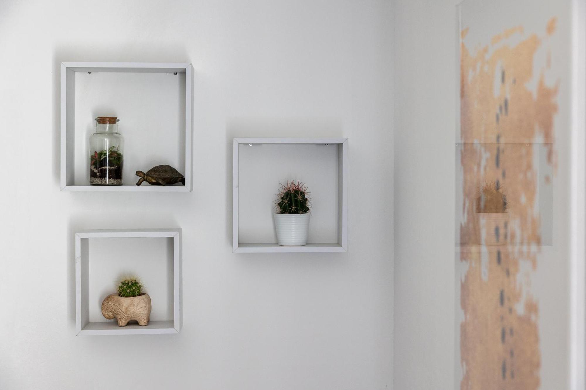 Dubrovnik Domus Apartment المظهر الخارجي الصورة